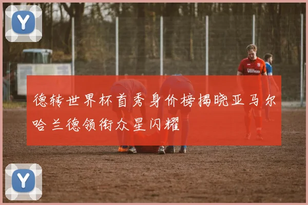 德转世界杯首秀身价榜揭晓亚马尔哈兰德领衔众星闪耀